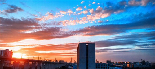 一只鸭脑壳卤味