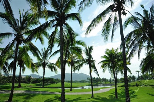 神田川日式拉面