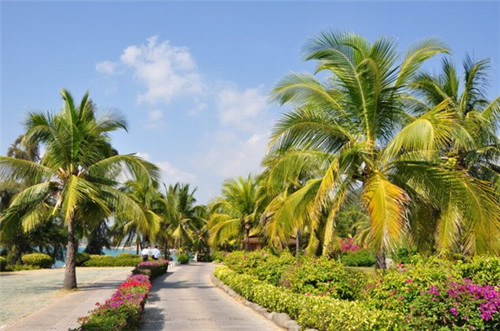 汉服店创业女生多吗