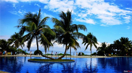 罗平好喝奶茶店