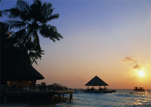 加盟高钙纯牛奶连锁店大概需要多少钱，高钙牛奶多少钱一箱