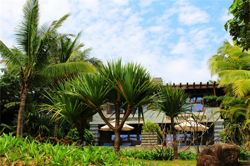 肩轴疼痛缓解方法（肩轴一按就疼怎么回事）