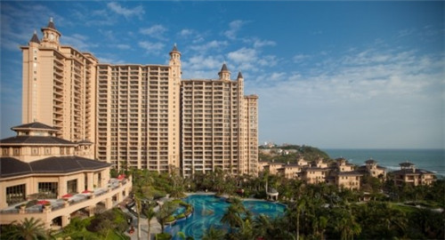 漈头村向日葵（2021永嘉向日葵）