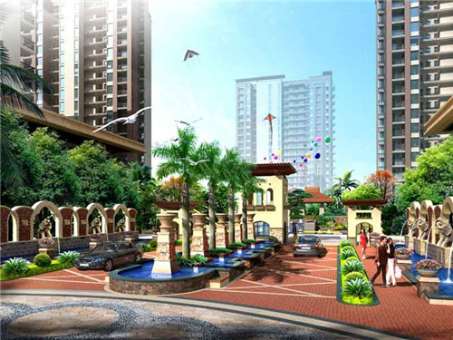 巨螯蟹(日本蜘蛛蟹)（日本巨型蜘蛛蟹吃人）