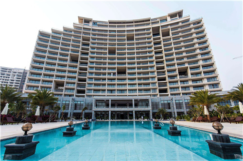 伊布十大未解之谜是什么（伊布介绍）